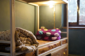 Firefly Backpackers Hostel